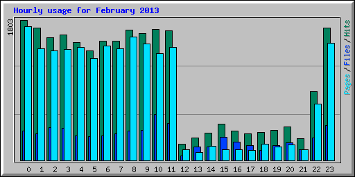 Hourly usage for February 2013